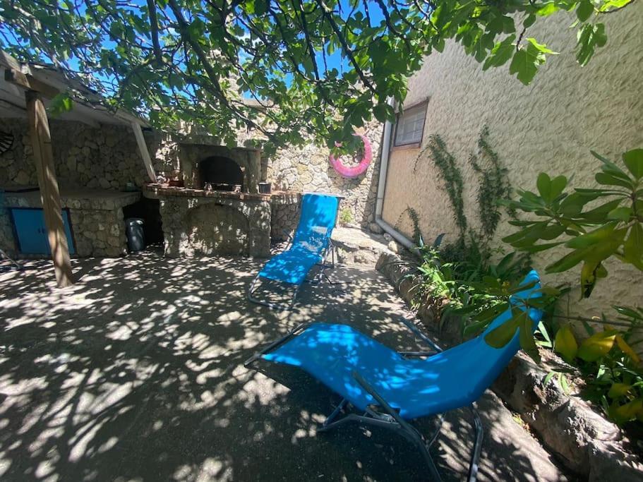 A L'Ombre Du Figuier ! Maisonnette Jardin / Parking / Proche Mer 弗龙蒂尼昂 外观 照片